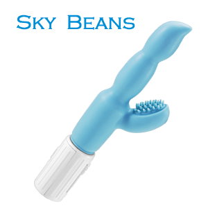 �X�J�C�r�[���Y